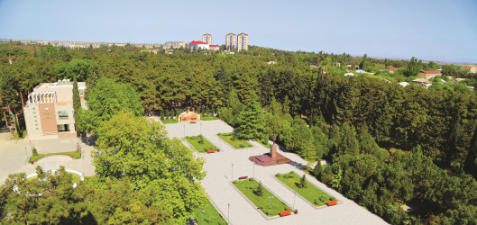 Naftalan şəhəri